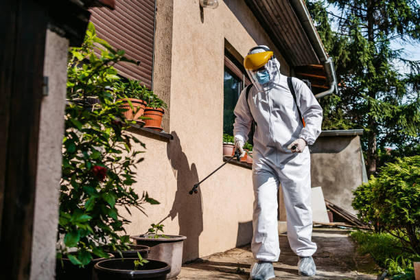 Best Residential Pest Control  in Wheatland, WY