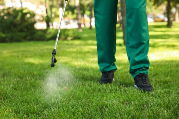 Best Rat Extermination Near Me  in Wheatland, WY