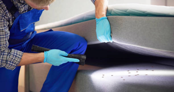 Best Affordable Pest Control Services  in Wheatland, WY