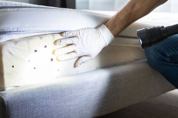 Trusted Wheatland, WY Pest Control Experts