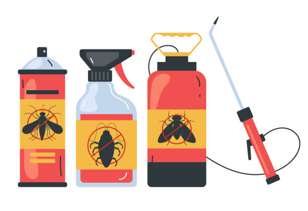 Best Termite Control Services  in Wheatland, WY