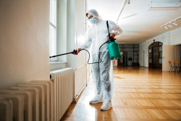 Flea Control Services in Wheatland, WY