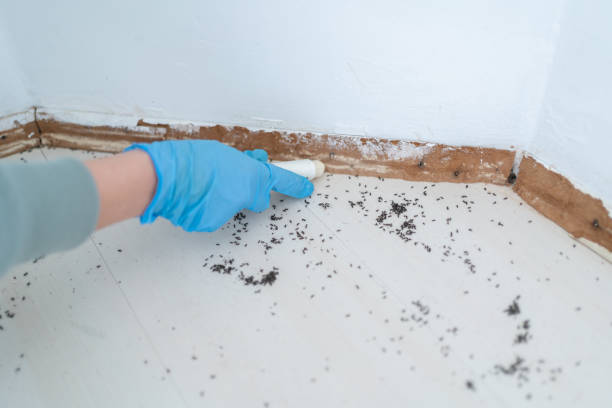 Best Exterminator Services  in Wheatland, WY